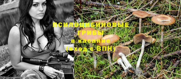 гашиш Арсеньев