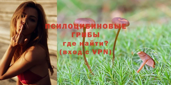 твердый Бутурлиновка