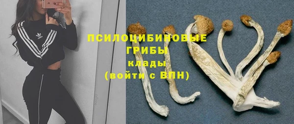 не бодяженный Новокубанск